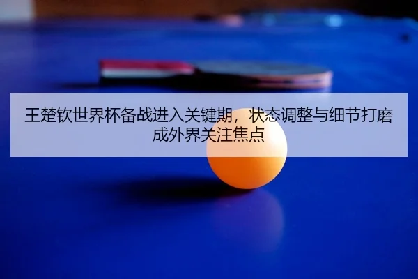 王楚钦世界杯备战进入关键期，状态调整与细节打磨成外界关注焦点